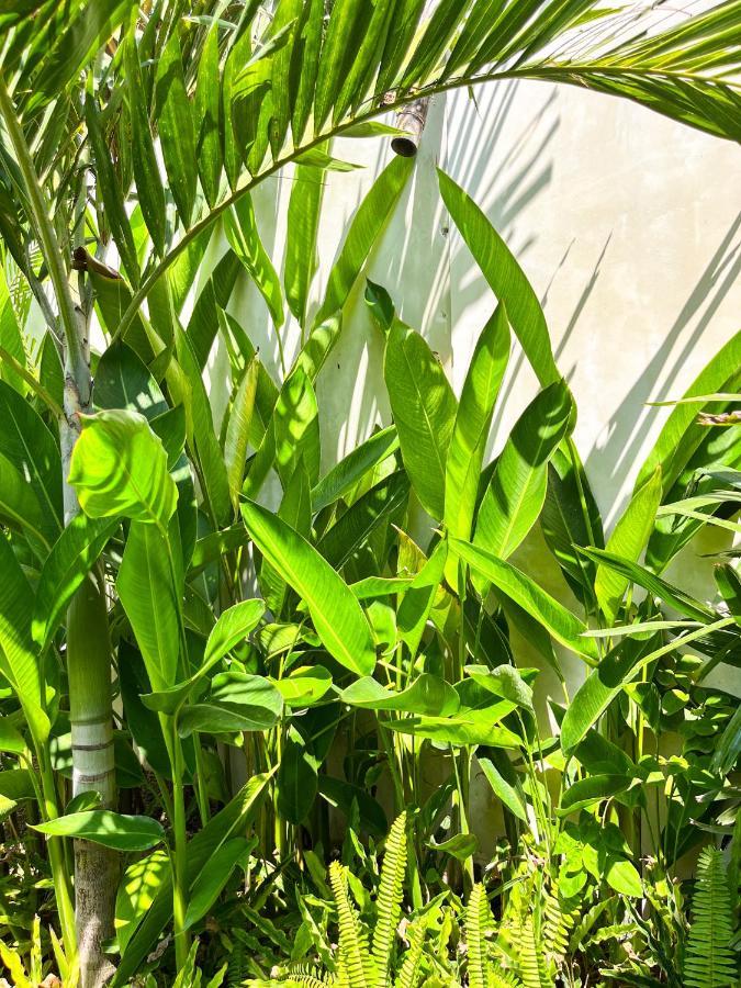 Kuta  Las Flores Lombok מראה חיצוני תמונה